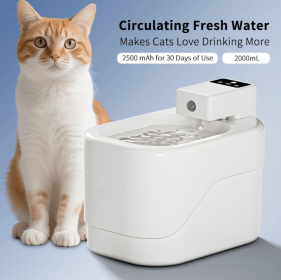 Small Square Sugar Pet Water Dispenser – features multi-layer filtration for water quality preservation, large-capacity storage